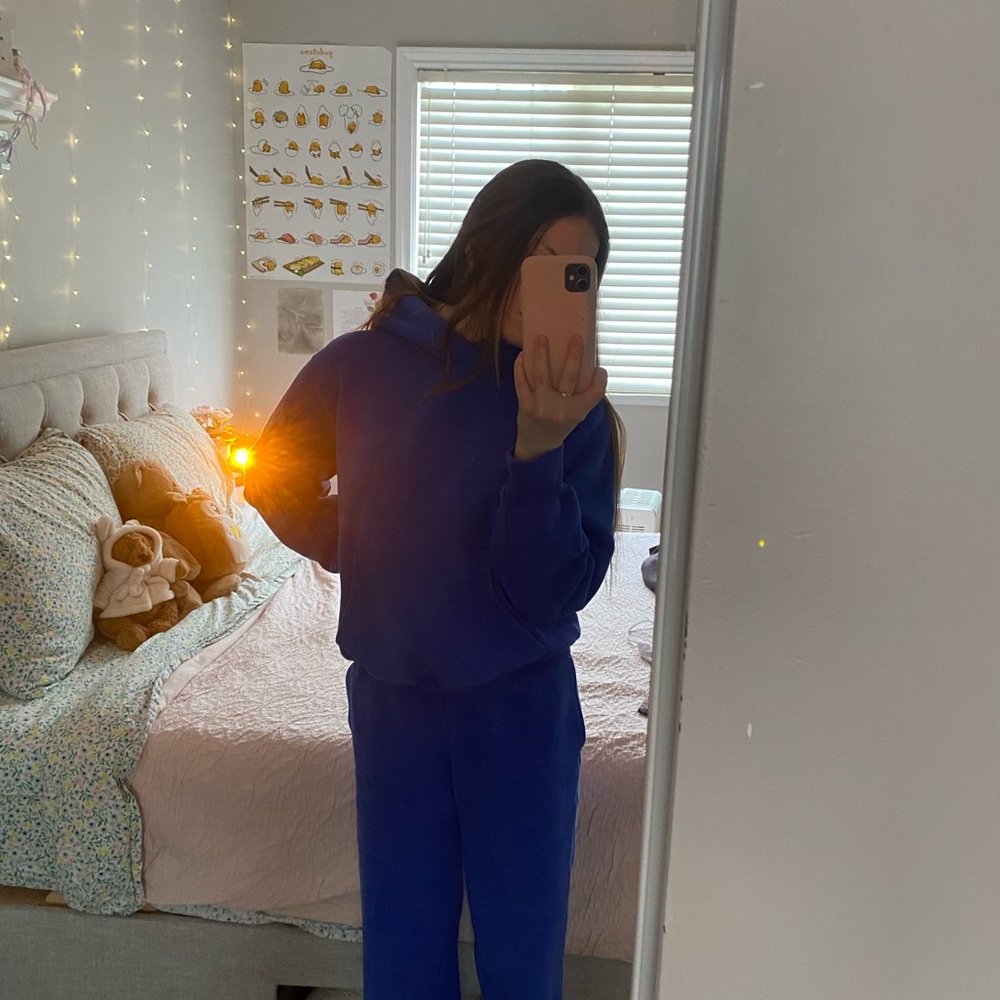 Aritzia blue sweatpants
